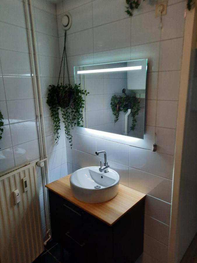 Apartment Duinvos 150M From The Beach Noordwijk Eksteriør bilde